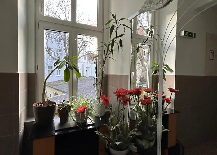 Apartman Reiner *