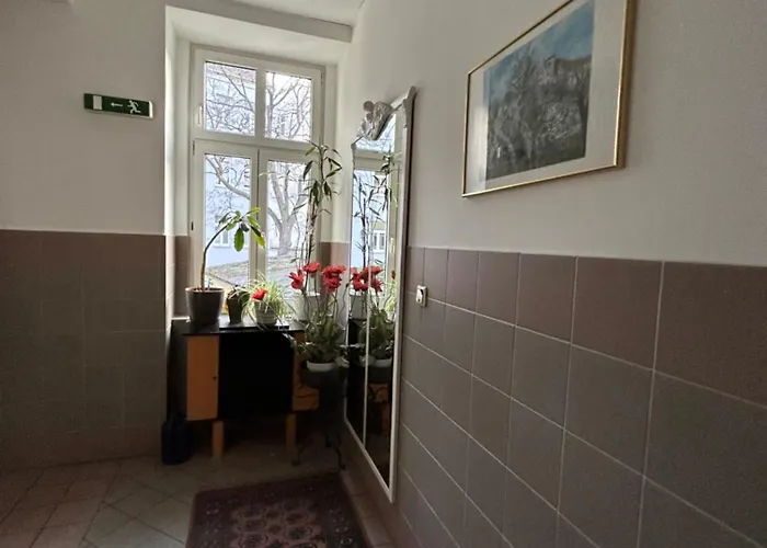 Apartman Reiner *